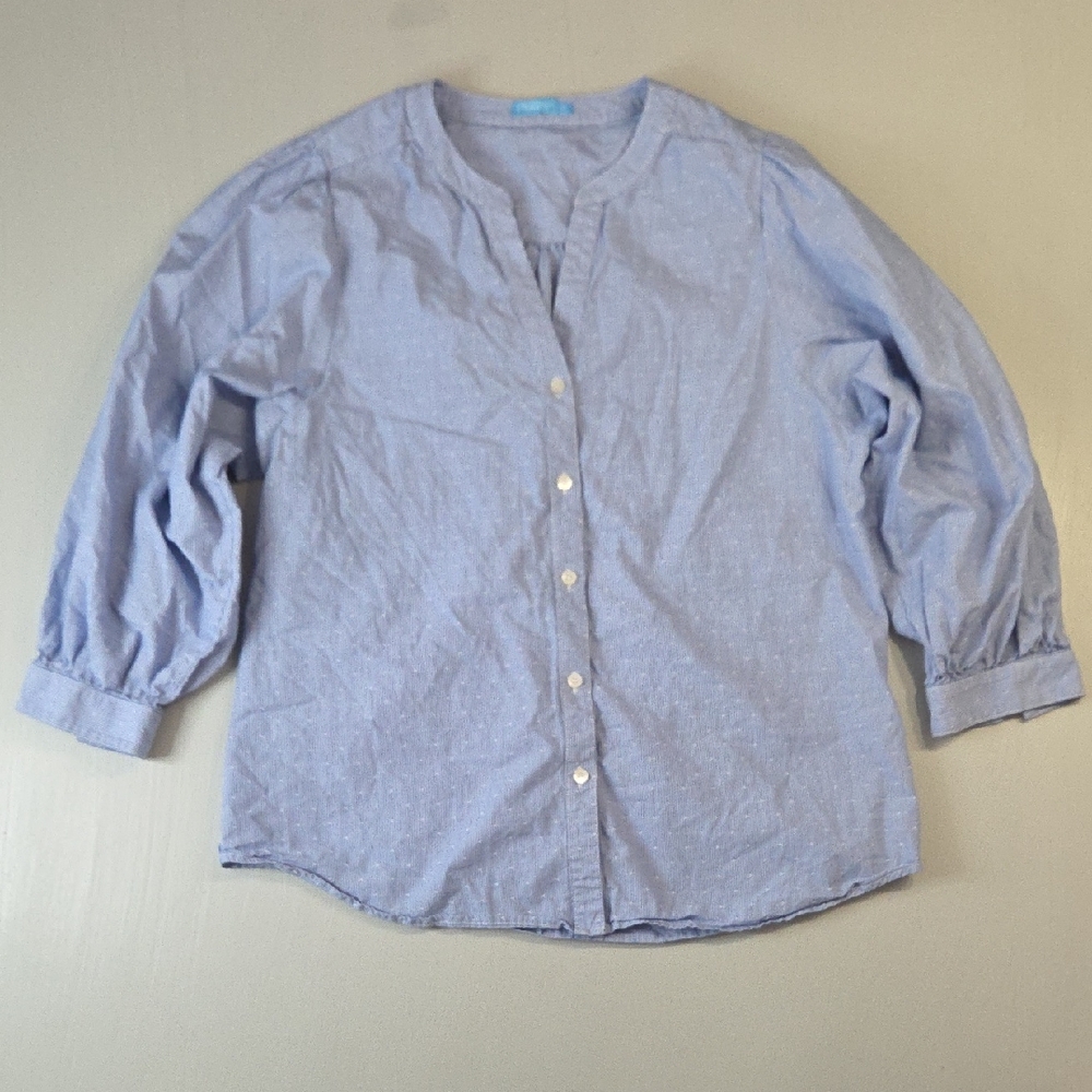J. McLaughlin Swiss Dot Blouse